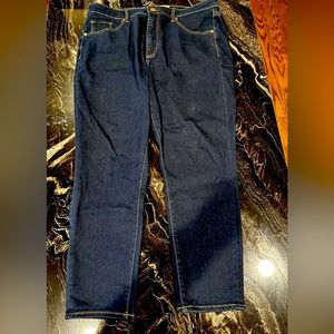 Ann Taylor LOFT Skinny Jeans.